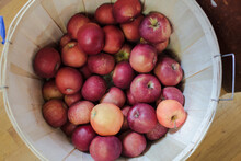 A Basket Of Red, Hand-picked Apples For Sale In A Country Store.