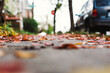 © Holly Clark/Stocksy - Colorful leaves on a sidewalk next to a parked car.