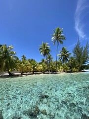 Sticker - Lagon et plage paradisiaque à Taha'a, Polynésie française	