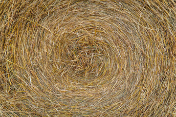 Hay bale close up so you can see how it is wound in a circle