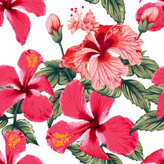 Seamless pattern tropical summer with red Hibiscus flowers on isolated white background.Vector illustration hand drawing dry watercolor style.For fabric design.