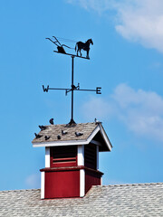 weather vane on top of cupola of a barn