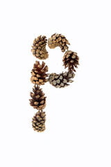 A to Z letters made from pine cones, alpha numeric set, unusual, inventive, individual letters on a white background, font type or font face, relates to nature, trees, outdoors, fun, season. alpine,.