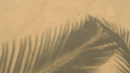 motion of shadows palm leaves on sand beach texture background.