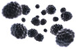 Ripe blackberries levitate on a white background