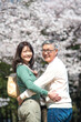 © Paylessimages - 花見をするミドル夫婦