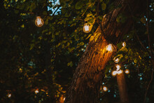 Retro Garland With Light Bulbs Hanging On The Tree