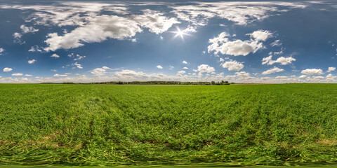 Wall Mural - full seamless spherical hdri panorama 360 degrees angle view on among fields in summer day with awesome clouds in equirectangular projection, ready for VR AR virtual reality content