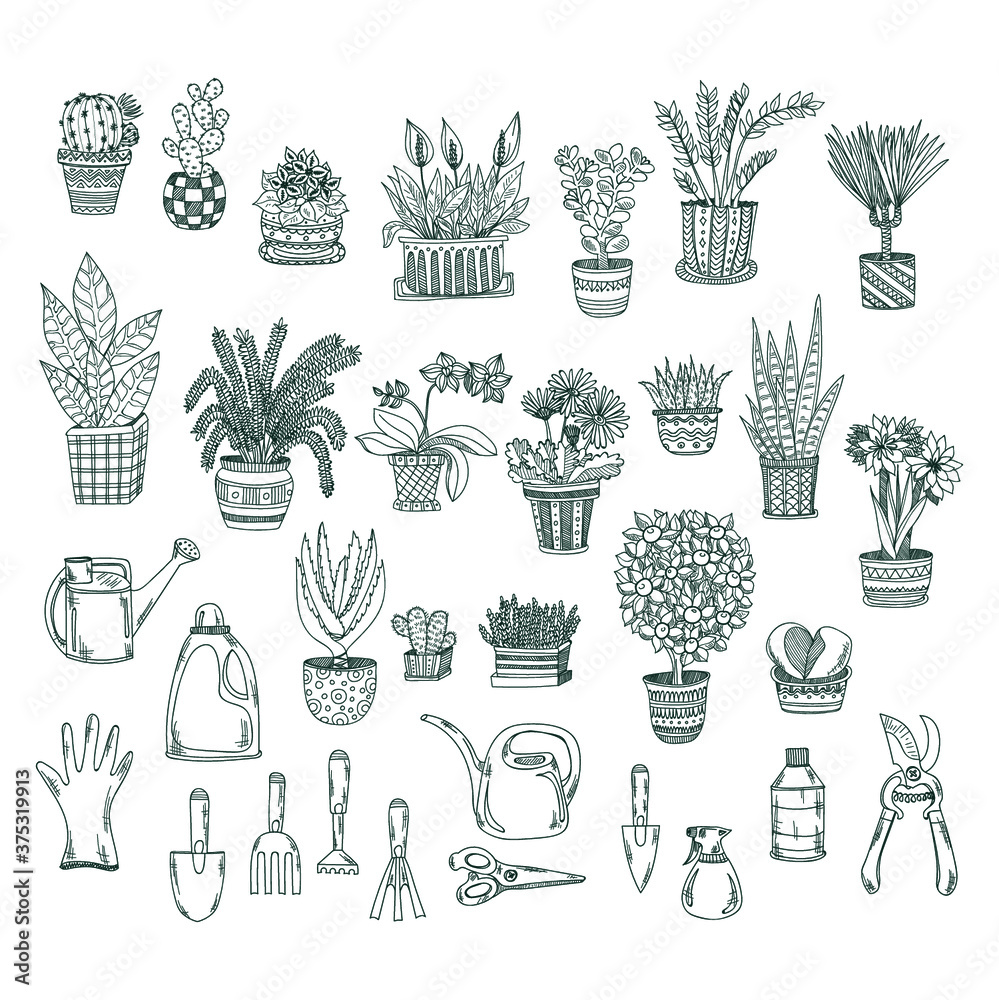 Big set of cute hand drawn house plants in pots including cactus ...