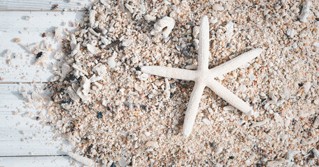 Star fish,reef and sea shell on white wood,summer background