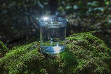 Glass Of Clean Still Water On Tree Stump With Moss Against Green Natural Background. Spring Ecologically Pure Water. World Water Day