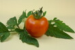 Nahaufnahme einer reifen Tomate mit grünem Blatt auf gelbem Hintergrund bei Kunstlicht