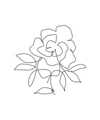 Wall Mural - one single line drawing beauty rose flower vector illustration. minimal tropical floral style, love 