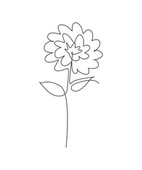 Wall Mural - One single line drawing beauty aster flower vector illustration. Minimal tropical floral style, love romantic concept for poster, wall decor print. Modern continuous line graphic draw design