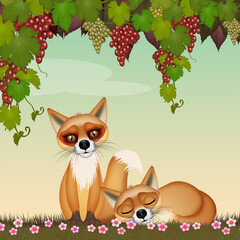 Canvas Print - illustration of foxes under the grapes