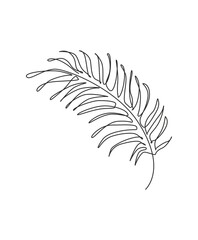 Wall Mural - One continuous line drawing tropical palm faux areca leaf. Minimal organic natural eco concept. Home wall decor, poster, tote bag, fabric print. Single line draw design graphic vector illustration