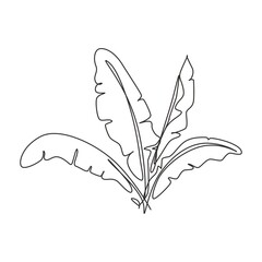 Poster - One continuous line drawing abstract tropical banana leaf. Minimal natural eco concept artwork. Home wall decor, poster, tote bag, fabric print. Single line draw design graphic vector illustration