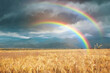 © New Africa - Amazing double rainbow over wheat field under stormy sky