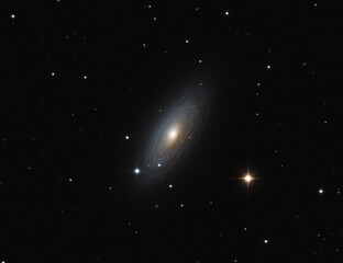 Wall Mural - ngc 2841 galaxy