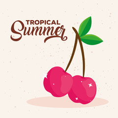 Wall Mural - tropical summer, cherries fresh fruits vector illustration design