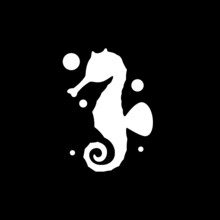 Seahorse, Sea Animal Icon Isolated On Dark Background