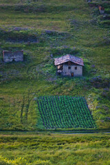 Lonely houses in Shenako, Tusheti, Georgia