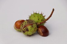 Chestnuts On A White Background