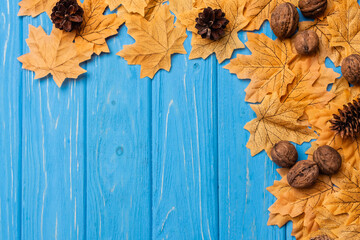 Wall Mural - Top view of autumnal foliage with nuts and cones on blue wooden background