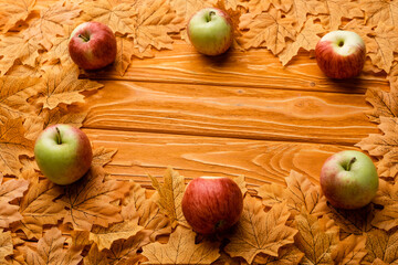 Wall Mural - ripe apples and autumnal foliage on wooden background