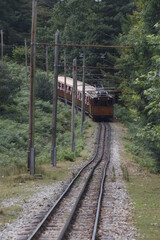 Wall Mural - Train of La Rhune mountain ascending the hill