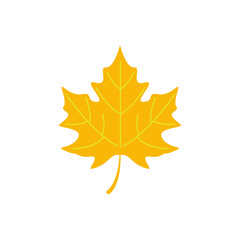 Wall Mural - maple leave graphich design vector