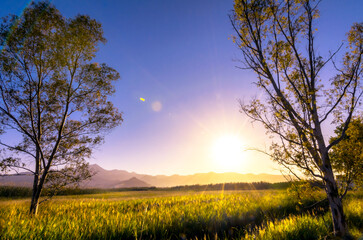 Sunset in the wetlands
