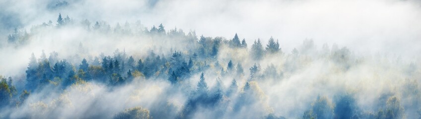 Breathtaking panoramic aerial view of the colorful golden mixed coniferous forest and river in a clouds of fog at sunrise. Stunning autumn landscape. Picturesque scenery. Pure nature, travel, tourism