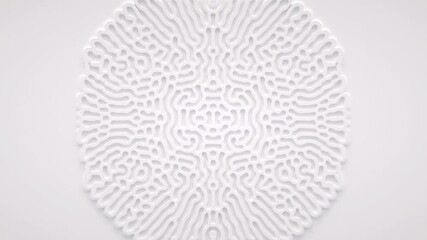 Wall Mural - reaction diffusion organic growing pattern. cell division science background.