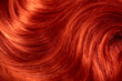 © Vera - Red hair. Background hair closeup. Female long red-haired close-up as a background. Beautifully laid carroty wavy shiny curls. Hair coloring.Hairdressing procedures. Copy space with space for text.