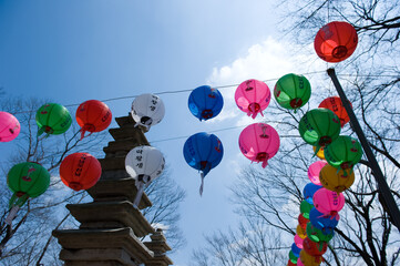 Wall Mural - The thousands colorful lotus lanterns at a buddhist temple to celebrate buddha's birthday.