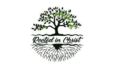 Wall Mural - Rooted in Christ, Christian faith, Typography for print or use as poster, card, flyer or T Shirt 