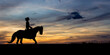 © pictographe - Silhouette d’un cavalier sur son cheval au coucher du soleil – Scène tranquille et contemplative