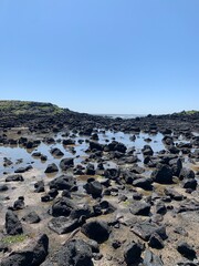 rocky coast of the sea