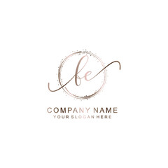 FE Initial handwriting logo template vector
