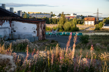 landscape in a city park in summer at sunset