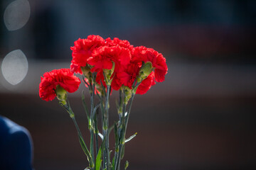 Holds red carnations, a memorable day of mourning.