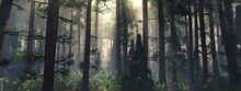 Forest In The Morning In A Fog In The Sun, Trees In A Haze Of Light, Glowing Fog Among The Trees, 3D Rendering
