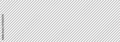 Fotomural Gray line background. Vector illustration