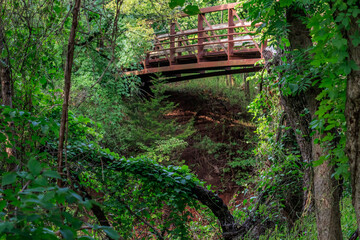 Bridge over a creek in a quiet forrest