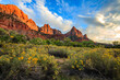 Zion National Park, Watchman, Clouds, yellow flowers.