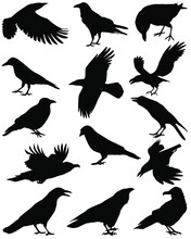 Set Of Vector Silhouettes Of Birds. Collection Of Birds. Black Birds. Birds Silhouette, Vector Illustration.