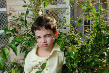 7 Year Old Brazilian Child, On A Sunny Afternoon, Finding It Bad Because He Is In The Middle Of The Foliage.