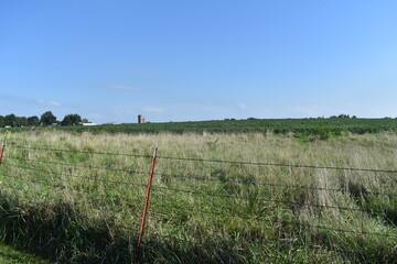 Sticker - Barbed Wire Fence and Soybean Field