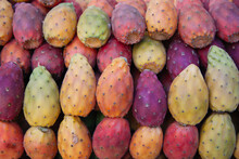 Prickly Pears Fruit